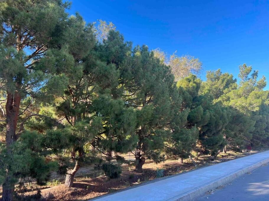 Arcana Lujo Residencial Ciudad Juarez Dış mekan fotoğraf